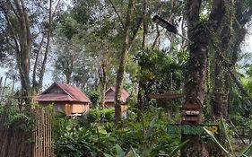 Bamboo Hideaway Resort